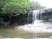 西表自然学校の写真4