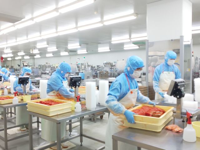 ふくやの明太子を作っている工場はここだけ。間近で製造工程を見てみよう!_博多の食と文化の博物館 ハクハク