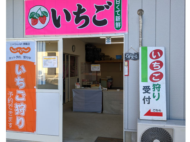 イチゴ狩り受付、直売所_保谷農園