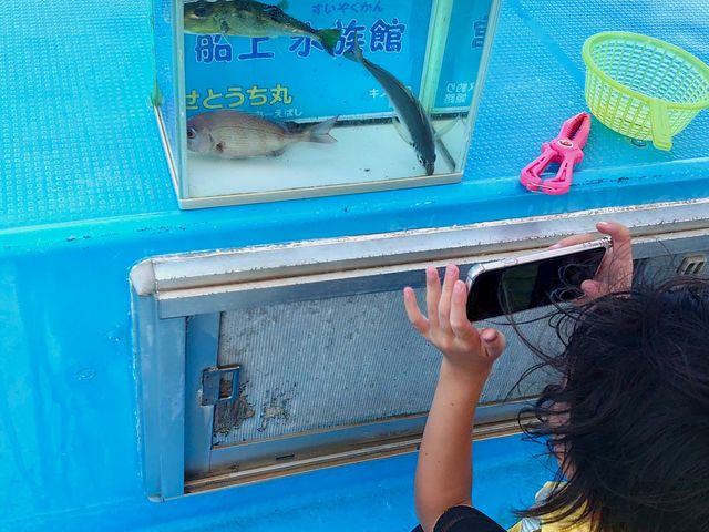 自分で釣った魚が船上水族館に!子供も夢中になります_せとうち丸(フィッシングセンターえばし)
