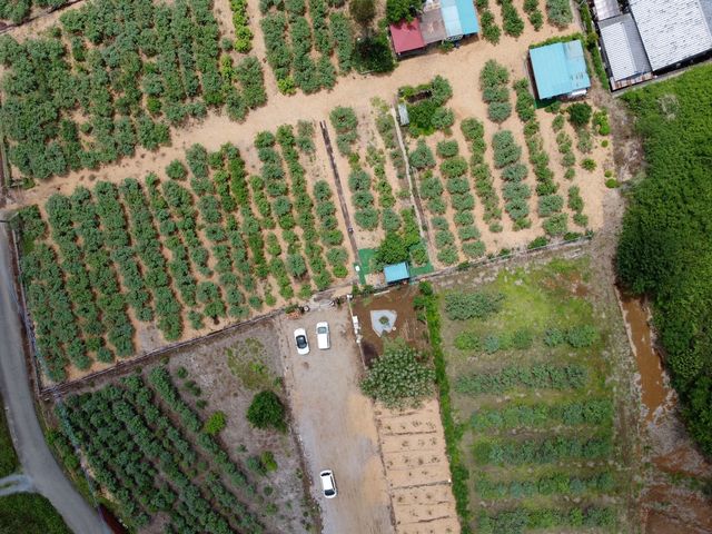 園 上空写真_ファームてんとうむし