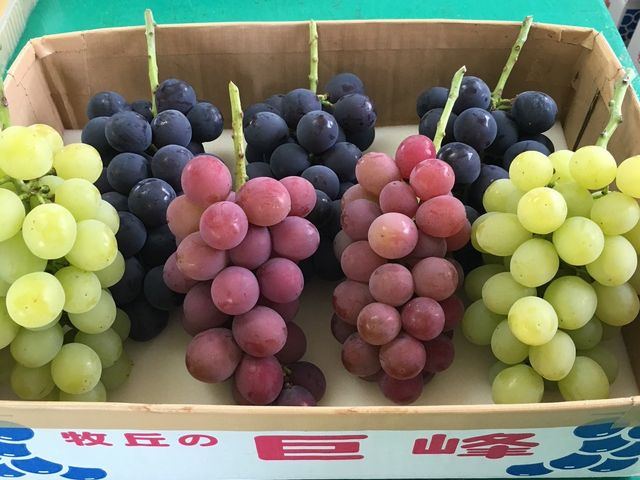 甲斐屋農場