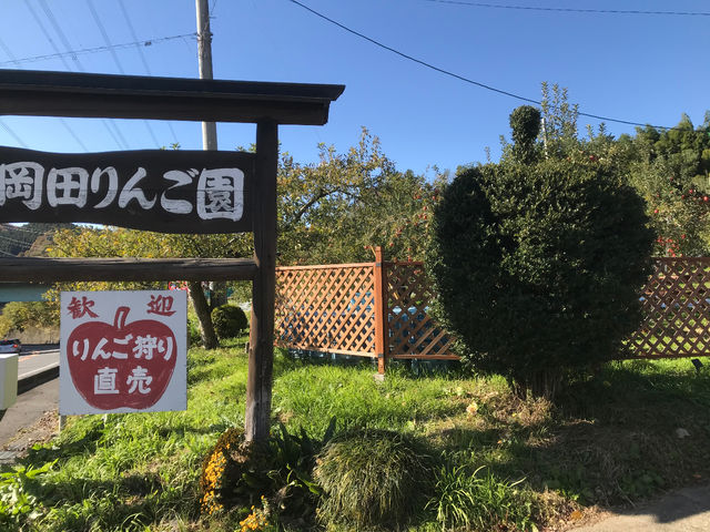 R118号沿いこの看板とりんご型の刈り込みが目印_岡田りんご園