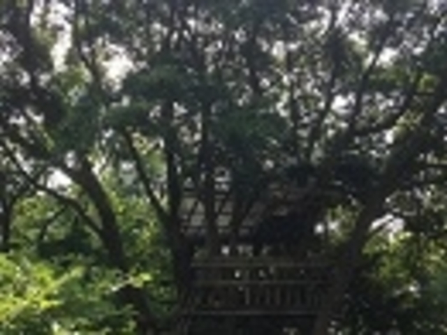 カームデイズ霧島工房