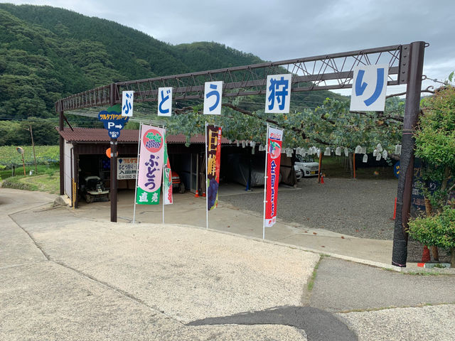 ツルタブドウパーク