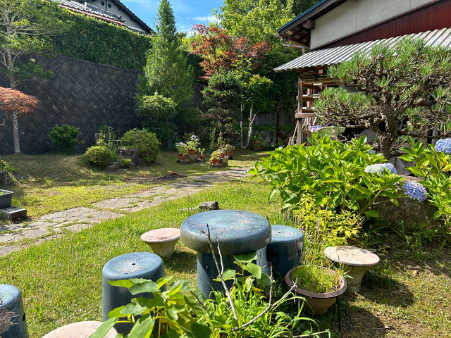 芙蓉窯