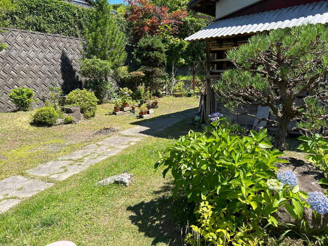 芙蓉窯