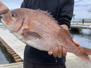 九十九里海釣りセンターの写真2