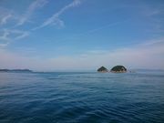 せとうち丸(フィッシングセンターえばし)の写真4