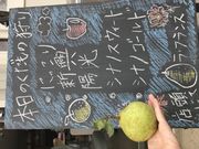 紺野果樹園の写真4