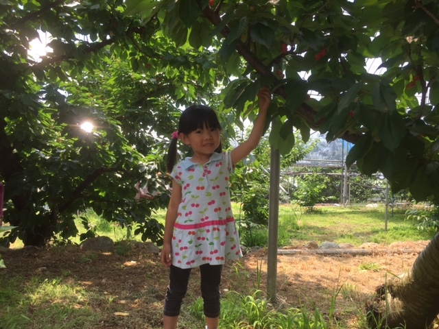 宮本農園