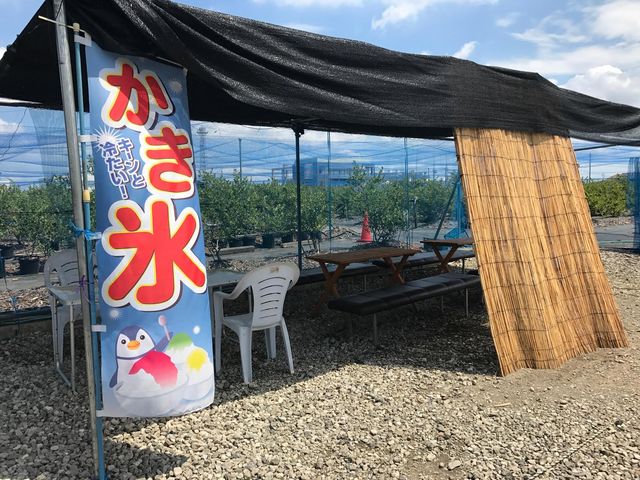 ブルーベリーファーム新松戸