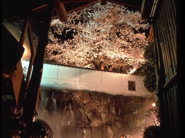 湯村温泉 朝野家