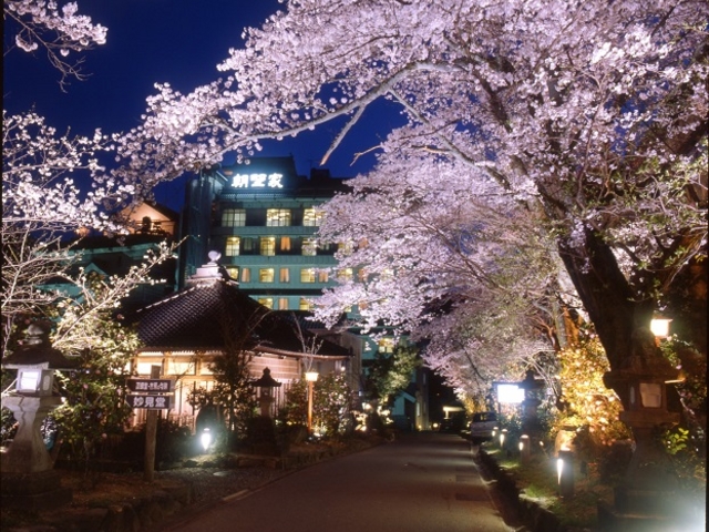 湯村温泉 朝野家