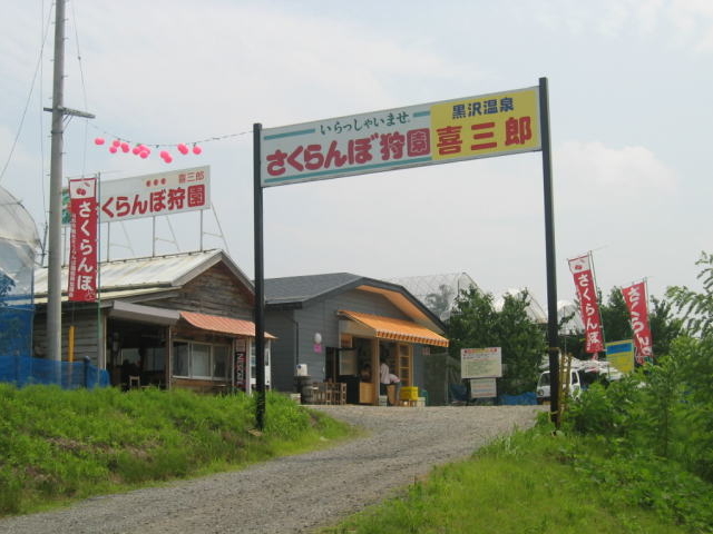 この看板が駐車場と受付の目印です!_喜三郎さくらんぼ狩園