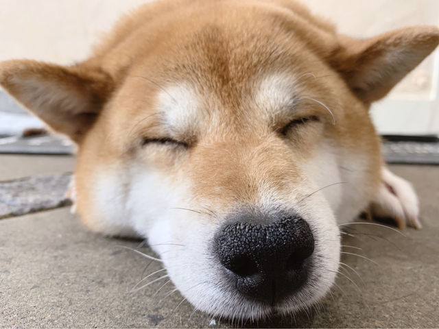 月と太陽