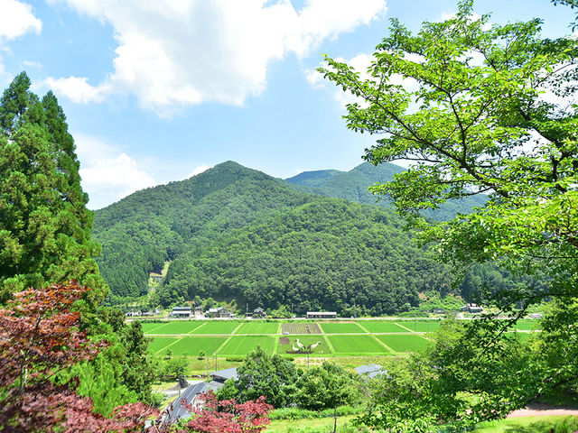 BBQ場。裏山の絶景_シルク温泉