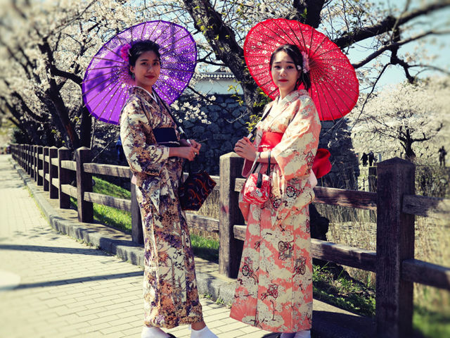 200種類の着物から自分に一番似合う色を選べます。_KIMONO Challenge