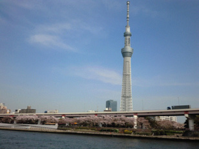 屋形船 網さだ