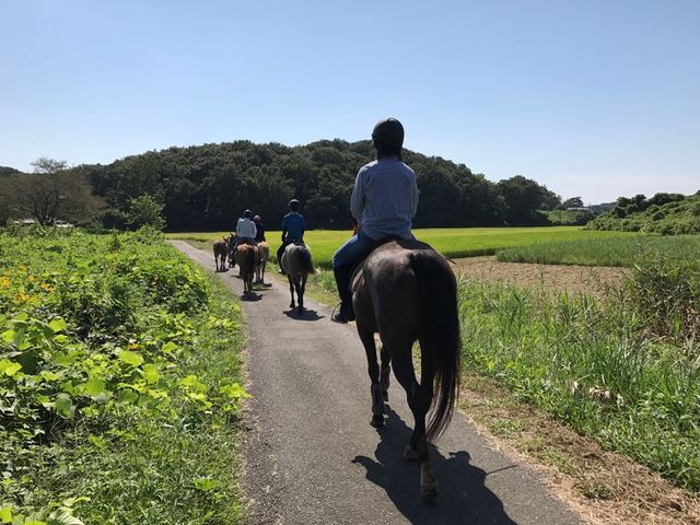 武蔵逍遥乗馬会