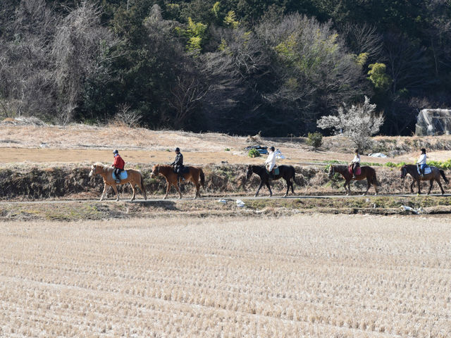 武蔵逍遥乗馬会