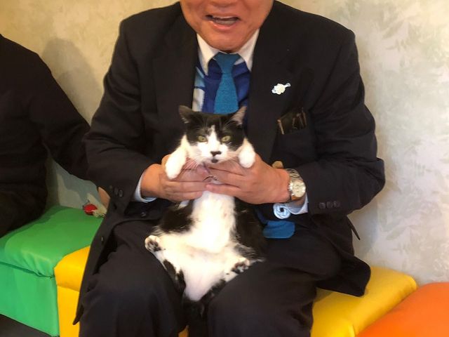 河村名古屋市長も応援してくださっています_保護猫カフェ ひだまり号