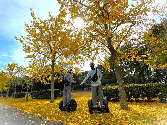 海の中道セグウェイツアー
