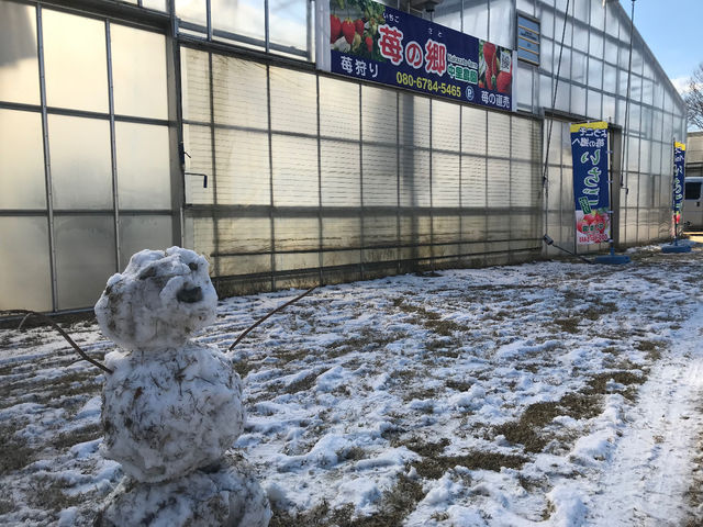 苺の郷 中里農園
