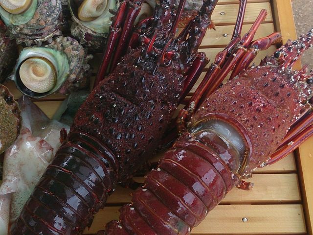 ガーデンBBQごらく