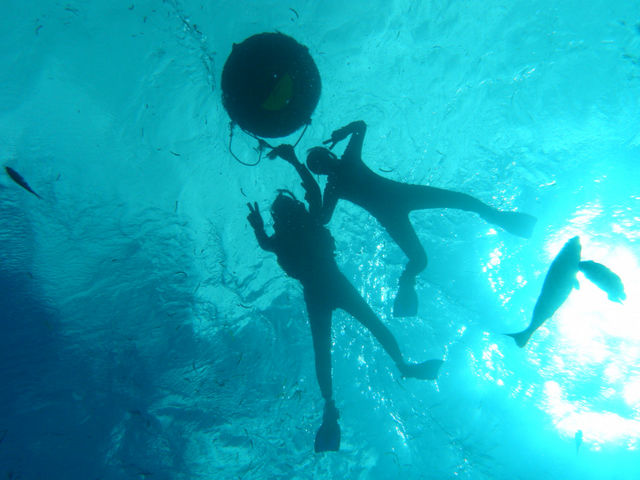 プロガイドが撮影したツアー中の写真は全てプレゼント★_SEAJOY