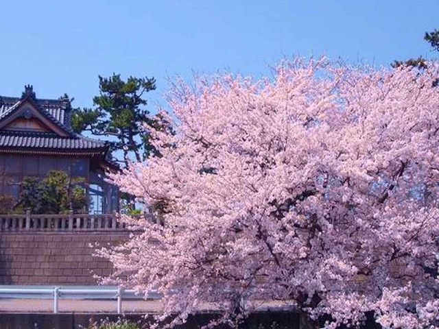 安産日吉神社
