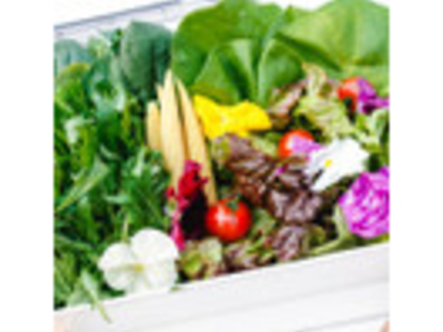 セカンドハウス名物!フレッシュサラダ!残ったサラダは野菜ジュースに仕上げます!_セカンドハウス