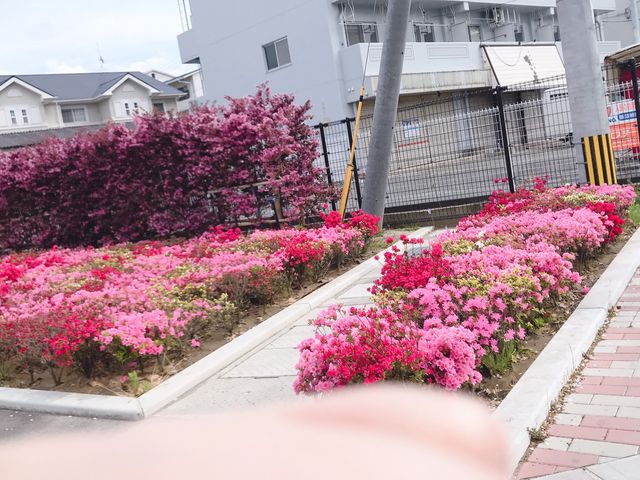 久留米アリーナ