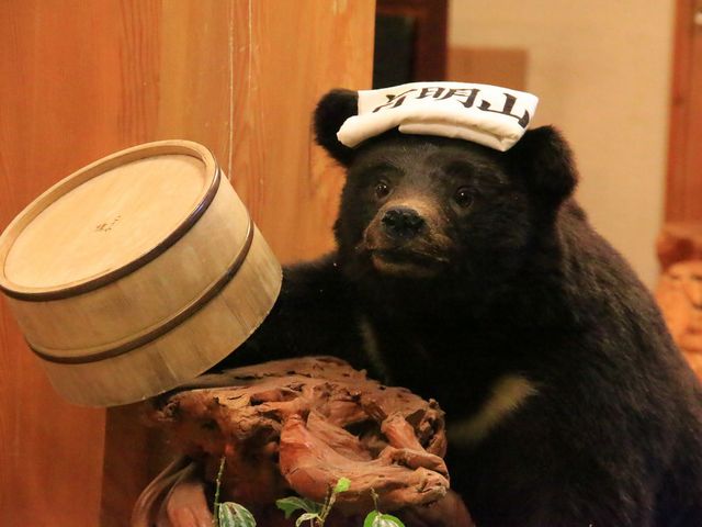 檜湯の宿 松伯
