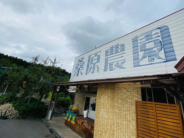 桑原農園