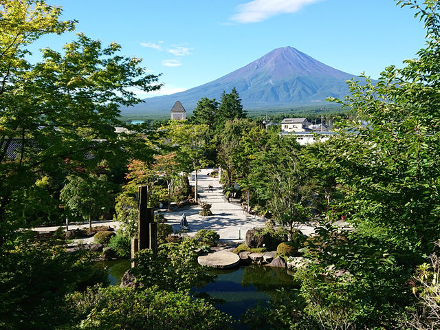 庭園からみる富士山_ハーブ庭園旅日記 富士河口湖庭園