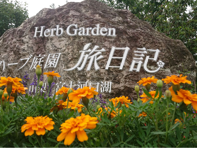 ハーブ庭園旅日記 富士河口湖庭園