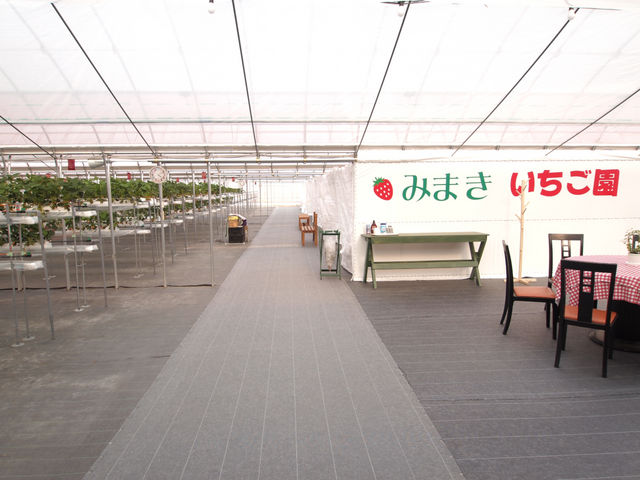 園内_みまきいちご園