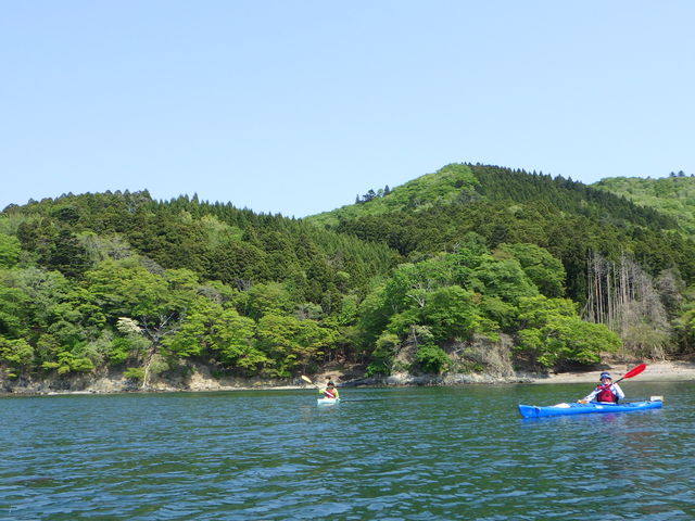 牡鹿半島ガイド なかのカヤック