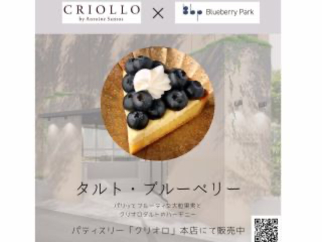 都内のパティスリーの5月の期間限定商品でした。_ブルーベリーパーク成田