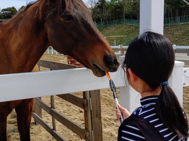 さんさん牧場