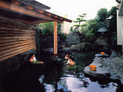 湯村温泉 佳泉郷 井づつやの写真4
