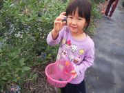 ブルーベリーファーム新松戸の写真2