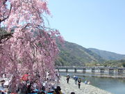 ステンドグラス工房DOMAの写真4