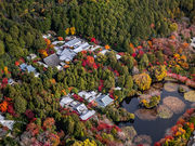 FREEBIRDヘリコプタークルージングの写真3