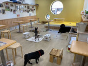 月と太陽の写真2