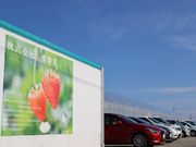 いちご屋 燦燦園の写真3