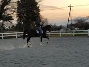 エクウスライディングファームの写真3