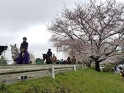 エクウスライディングファームの写真4