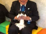 保護猫カフェ ひだまり号の写真4